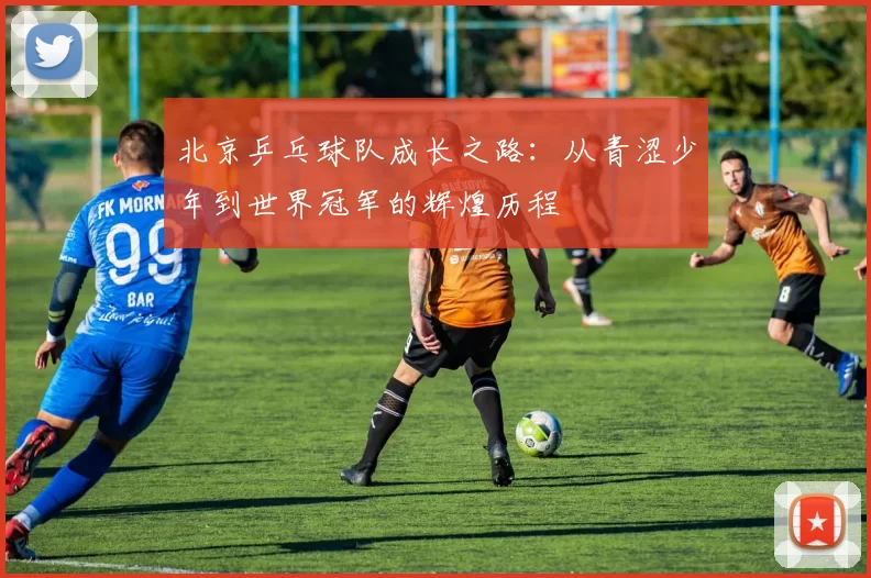 北京乒乓球队成长之路：从青涩少年到世界冠军的辉煌历程