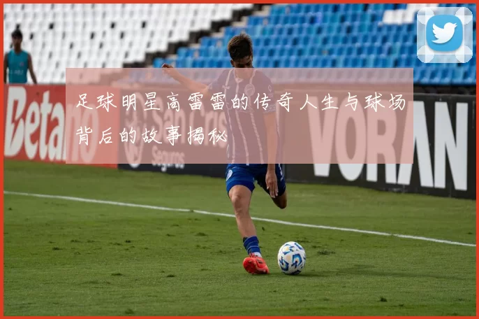 足球明星高雷雷的传奇人生与球场背后的故事揭秘