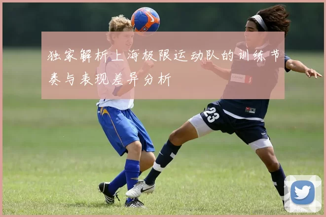 独家解析上海极限运动队的训练节奏与表现差异分析