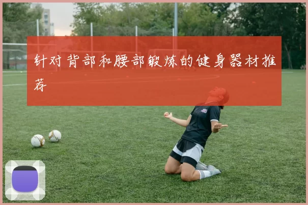 针对背部和腰部锻炼的健身器材推荐