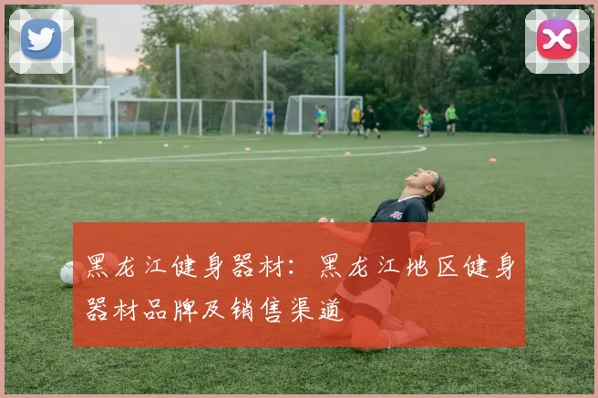 黑龙江健身器材：黑龙江地区健身器材品牌及销售渠道