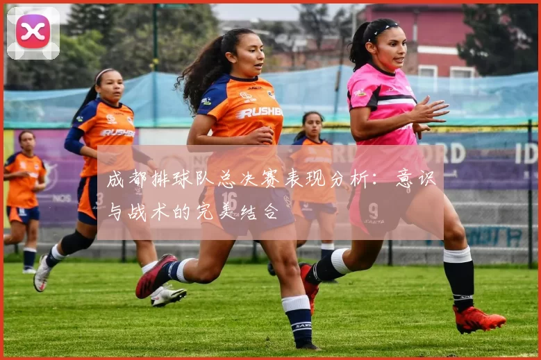 成都排球队总决赛表现分析：意识与战术的完美结合