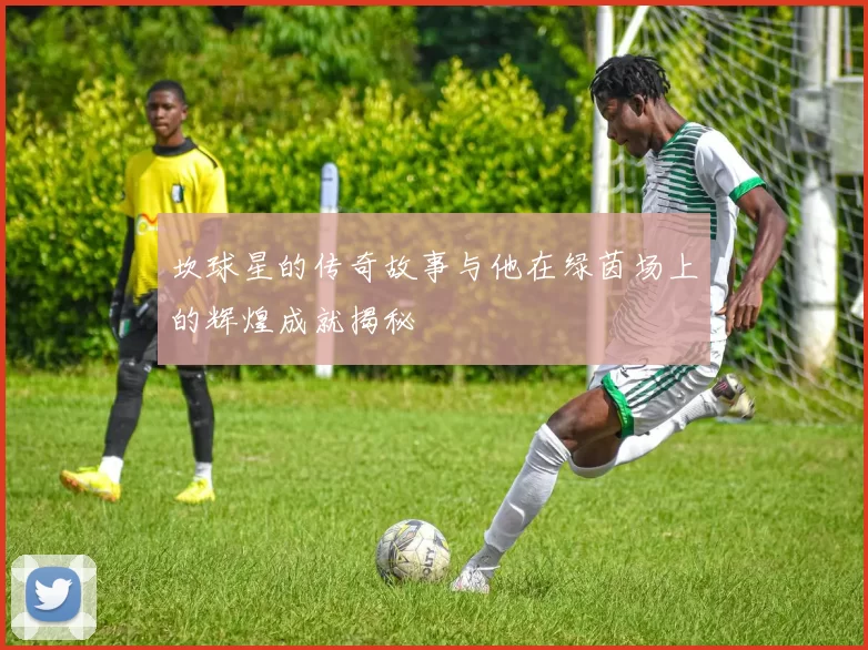 坎球星的传奇故事与他在绿茵场上的辉煌成就揭秘