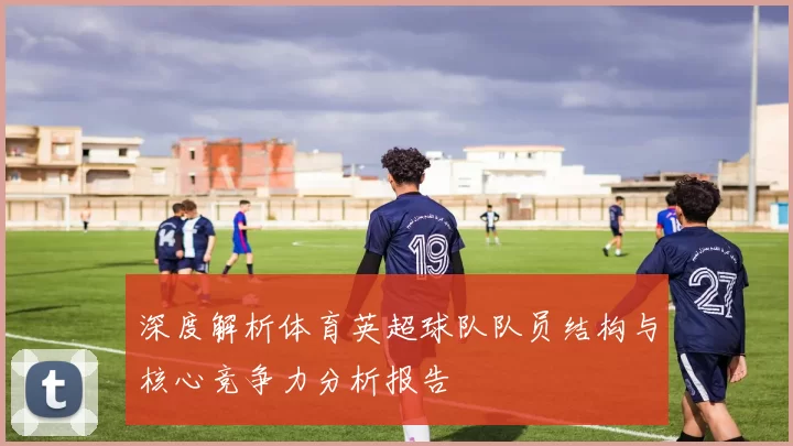 深度解析体育英超球队队员结构与核心竞争力分析报告