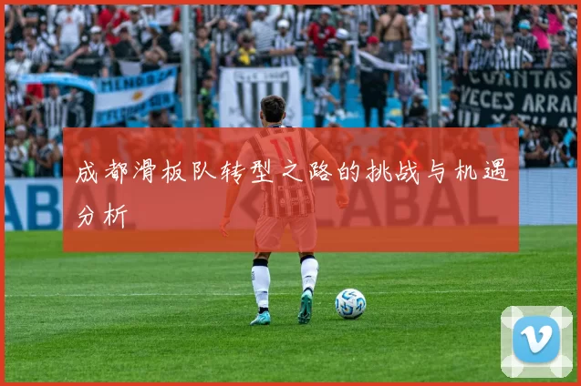 成都滑板队转型之路的挑战与机遇分析