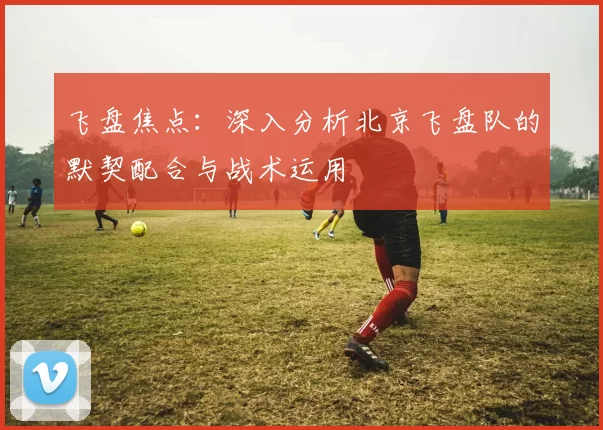 飞盘焦点：深入分析北京飞盘队的默契配合与战术运用