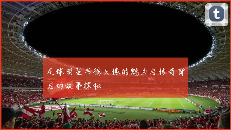 足球明星韦德头像的魅力与传奇背后的故事探秘