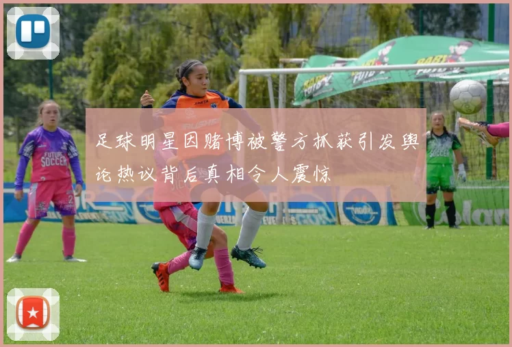 足球明星因赌博被警方抓获引发舆论热议背后真相令人震惊