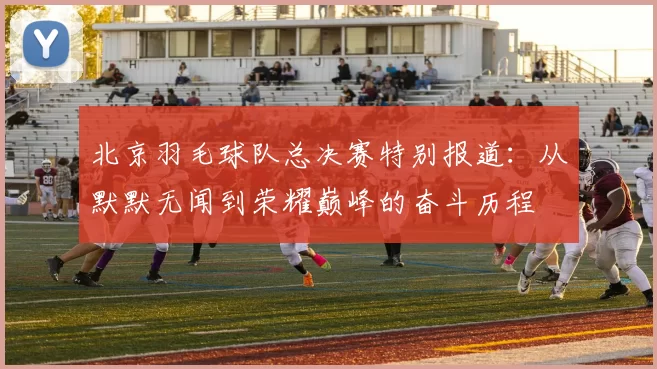 北京羽毛球队总决赛特别报道：从默默无闻到荣耀巅峰的奋斗历程
