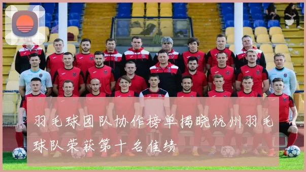 羽毛球团队协作榜单揭晓杭州羽毛球队荣获第十名佳绩