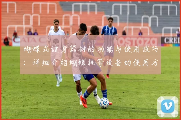 蝴蝶式健身器材的功能与使用技巧：详细介绍蝴蝶机等设备的使用方法与效果