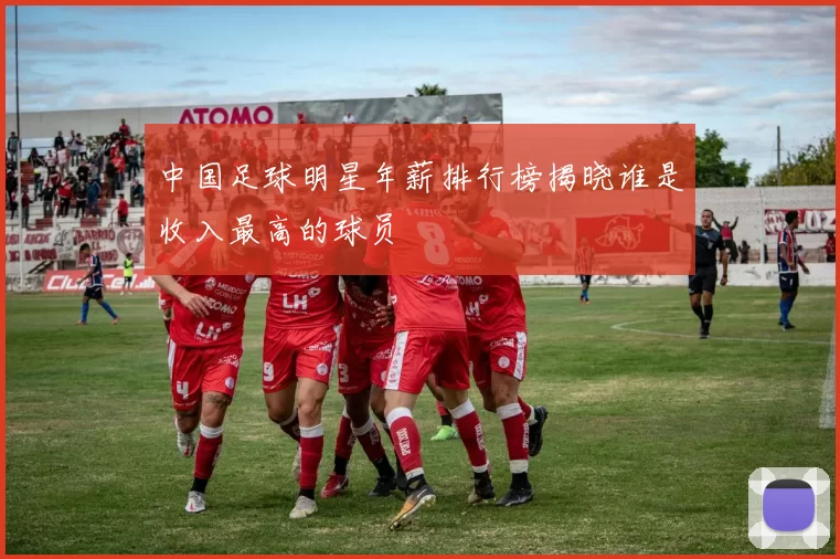 中国足球明星年薪排行榜揭晓谁是收入最高的球员