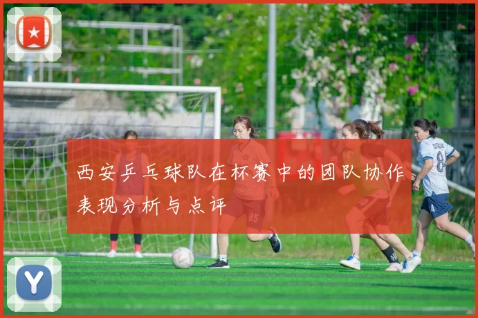 西安乒乓球队在杯赛中的团队协作表现分析与点评