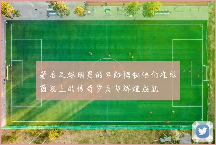 著名足球明星的年龄揭秘他们在绿茵场上的传奇岁月与辉煌成就