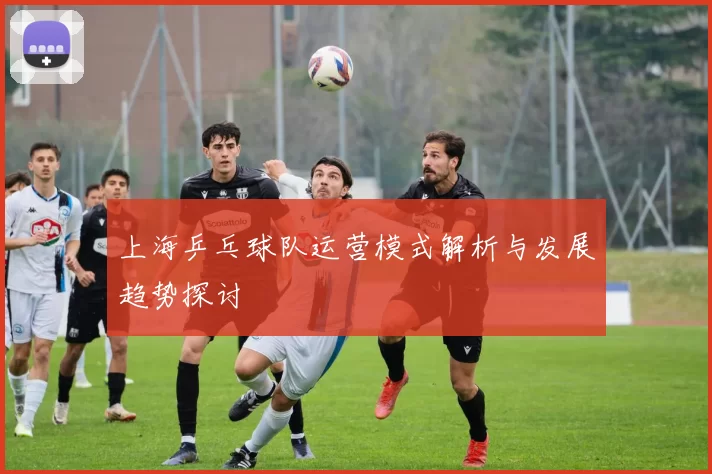 上海乒乓球队运营模式解析与发展趋势探讨