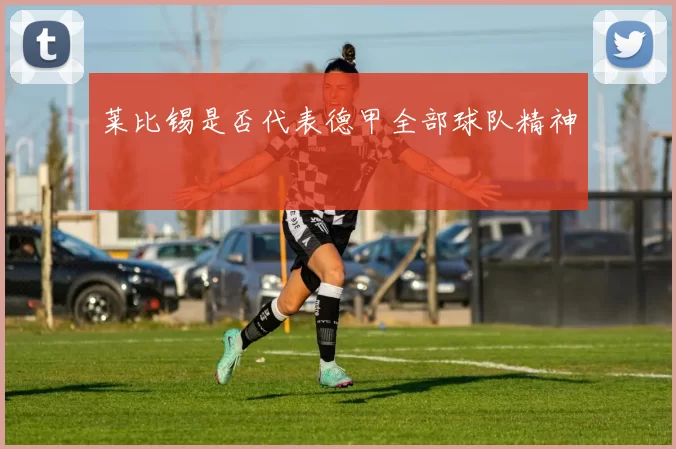莱比锡是否代表德甲全部球队精神