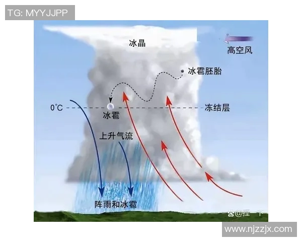 全球气候变化加剧极端天气事件频发 科学家警告未来10年将面临更多挑战