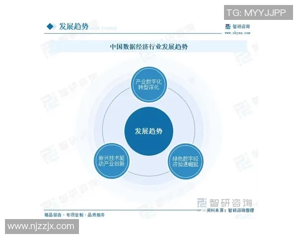 数字经济时代下全球经济格局变革与中国经济发展的机遇挑战分析